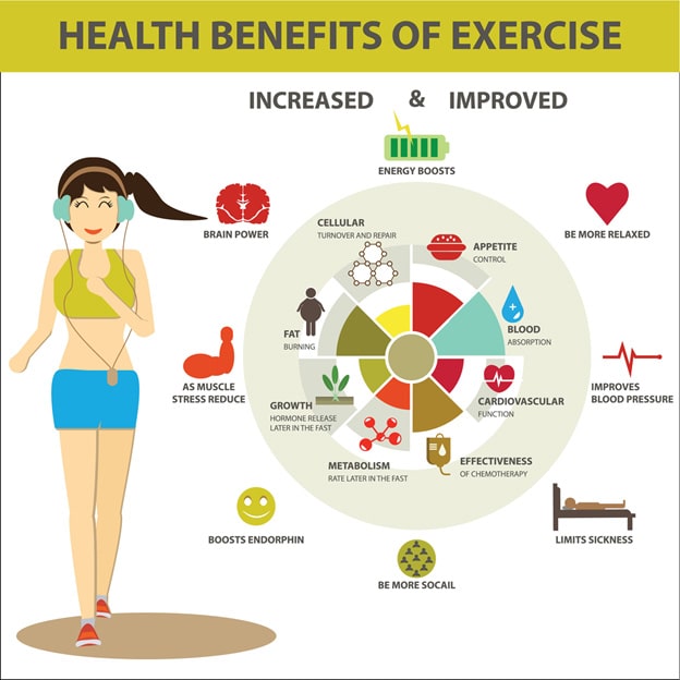 what are the benefits of an exercise ball when pregnant