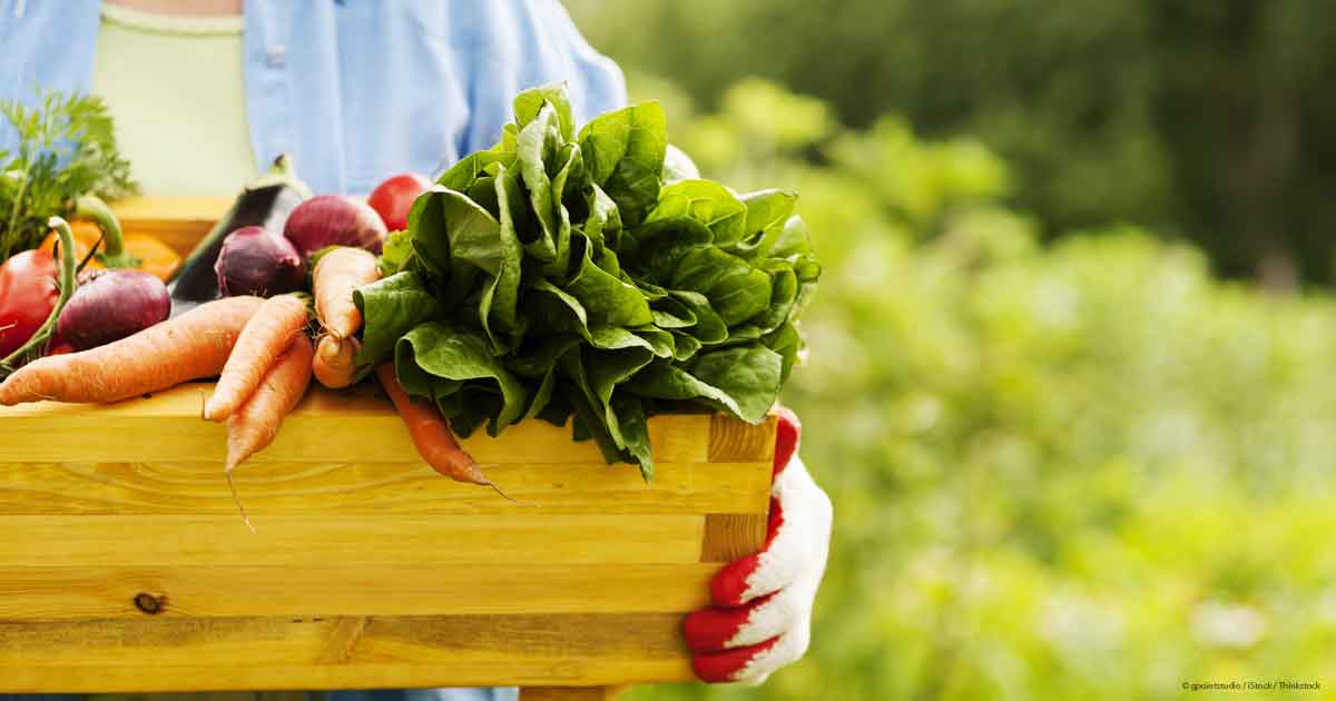 Summer Holidays 8 Healthy Regime Tips