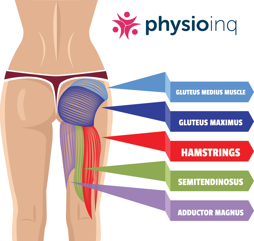 Hamstrings  Injuries & Treatment Strategies